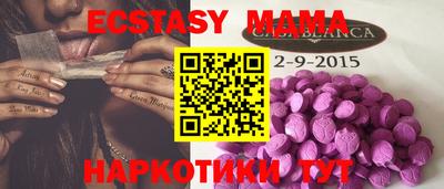 стаф Можга