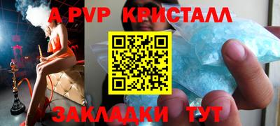 стаф Можга