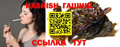 стаф Можга