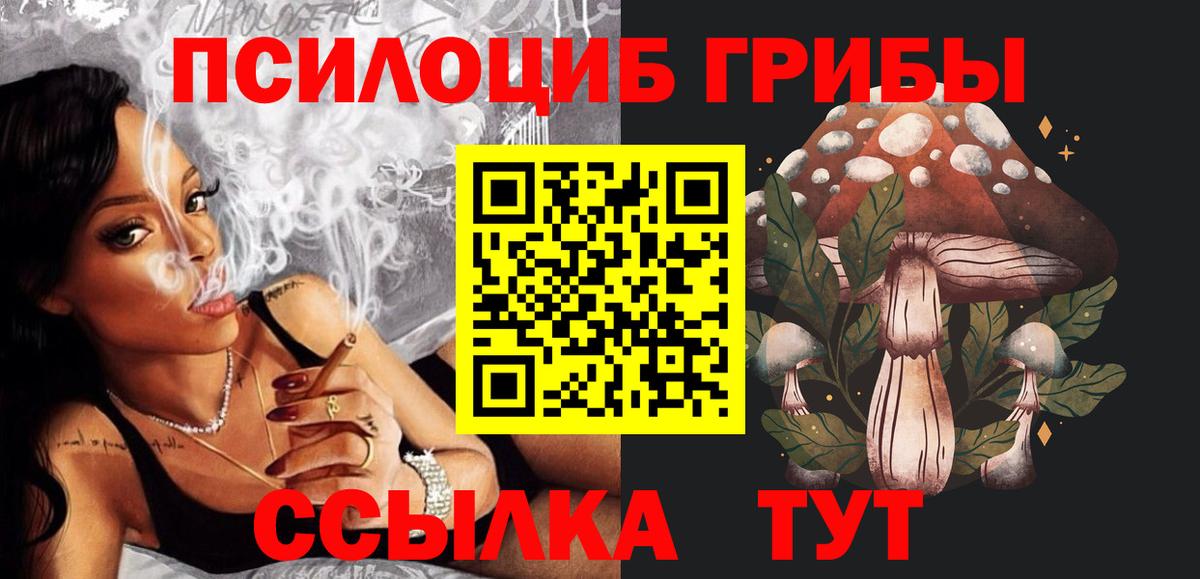 Псилоцибиновые грибы GOLDEN TEACHER  Вход с VPN  как найти наркотики  Советск 