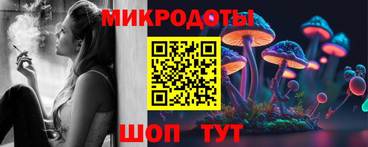 Псилоцибиновые грибы GOLDEN TEACHER Советск