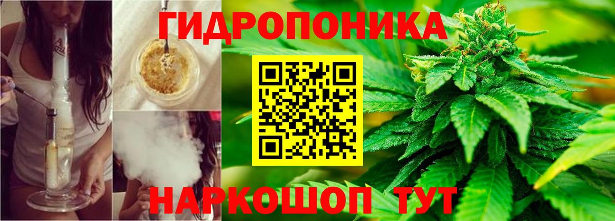 Каннабис индика Советск